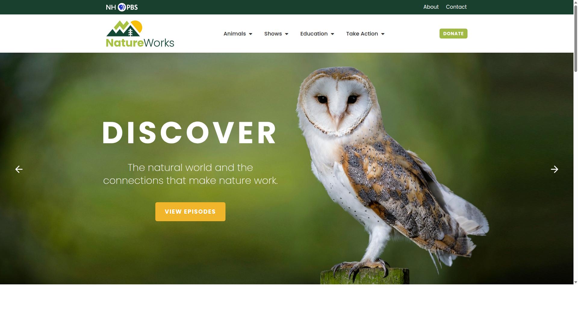 coraciiformestag.com website